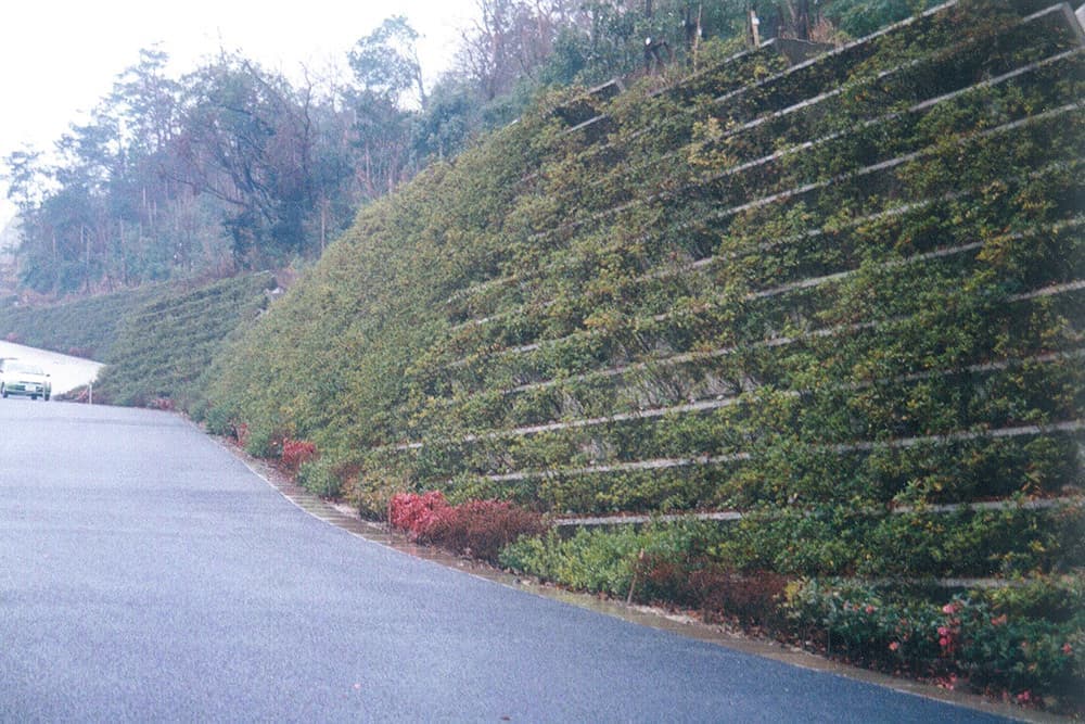 植生ブロック