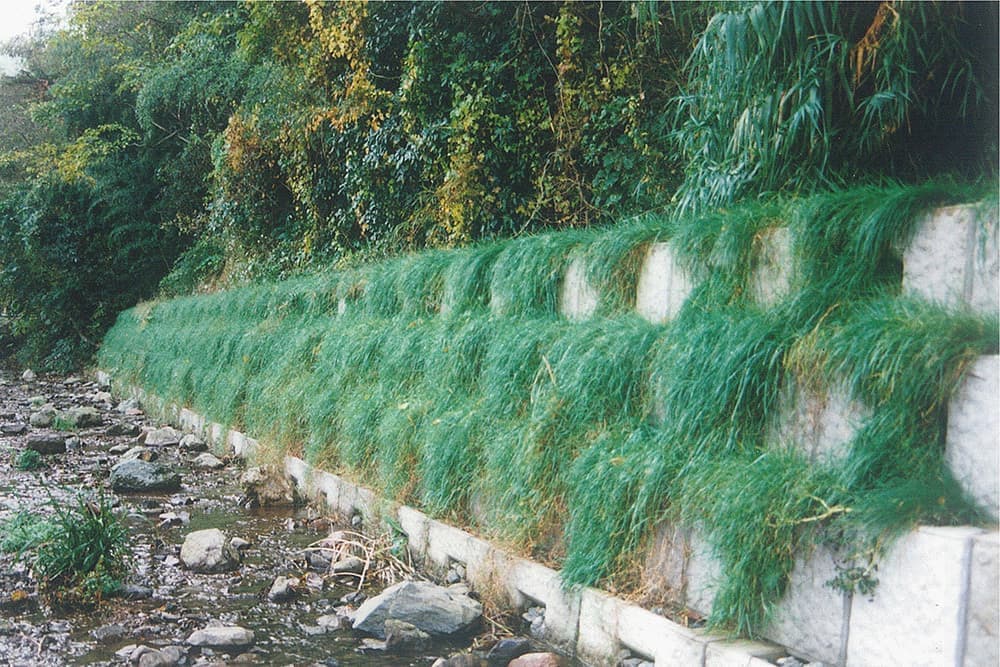 植生(生物育成)ブロック